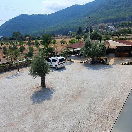 Olive Tree Apart Hotel Muğla Buitenkant foto
