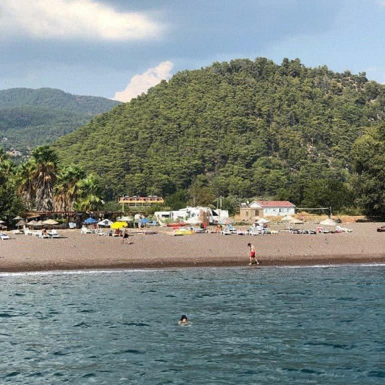 Olive Tree Apart Hotel Muğla Buitenkant foto