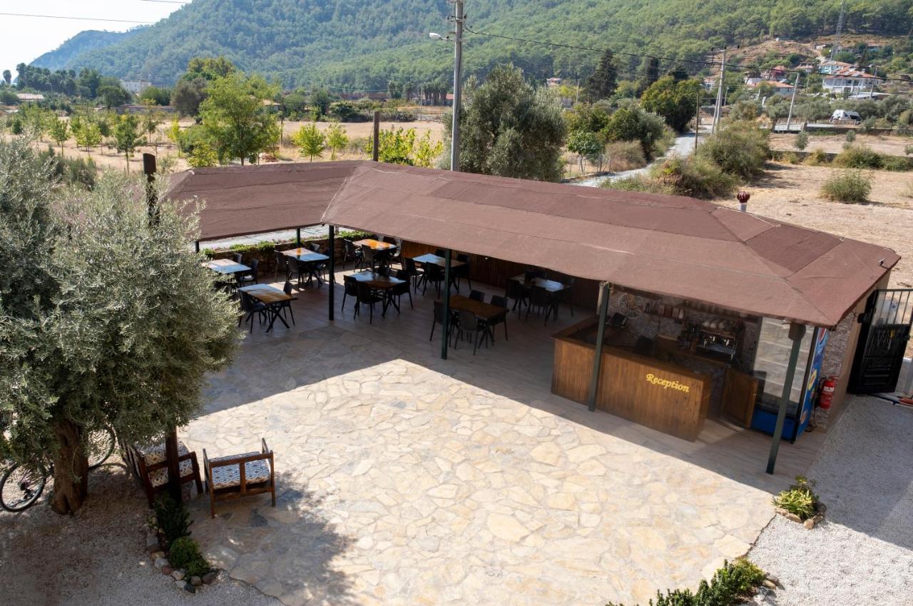 Olive Tree Apart Hotel Muğla Buitenkant foto