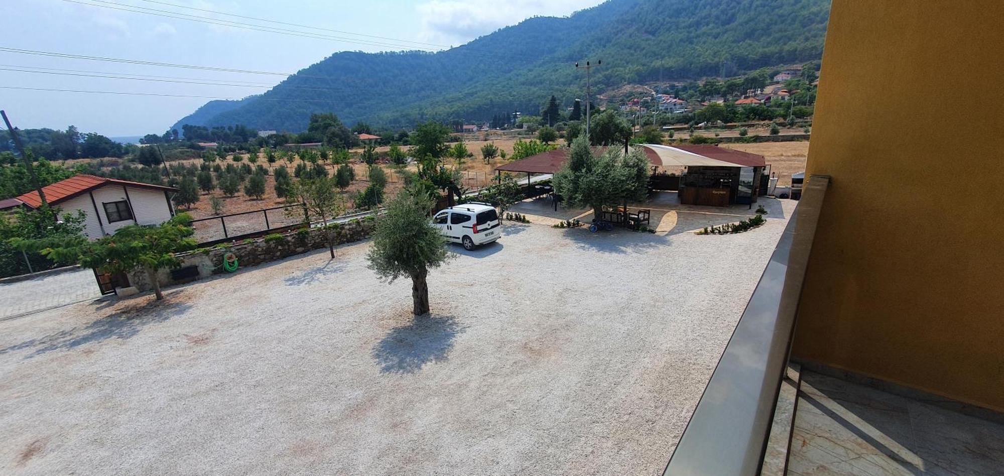 Olive Tree Apart Hotel Muğla Buitenkant foto